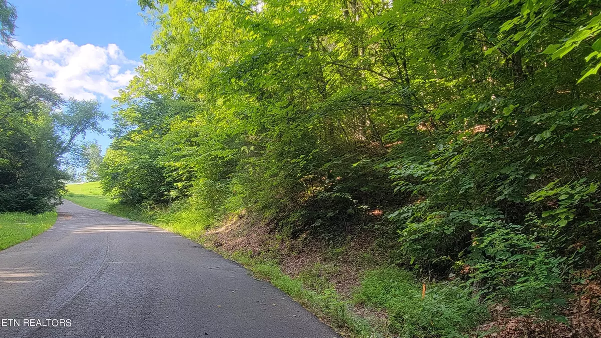 Newport, TN 37821,Lakeshore Dr (Lot 36) WAY