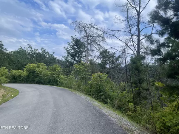 Sevierville, TN 37862,River Birch Lot 4 WAY