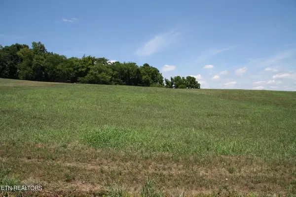 Blaine, TN 37709,Lot 71 River DR