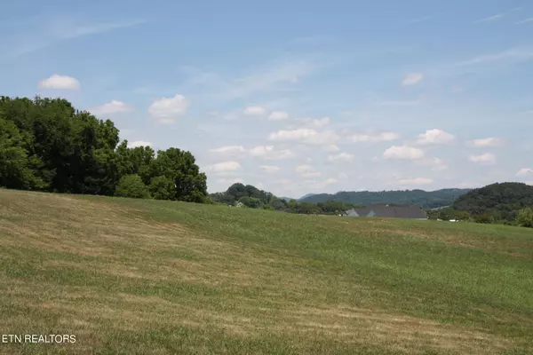 Blaine, TN 37709,Lot 71 River DR