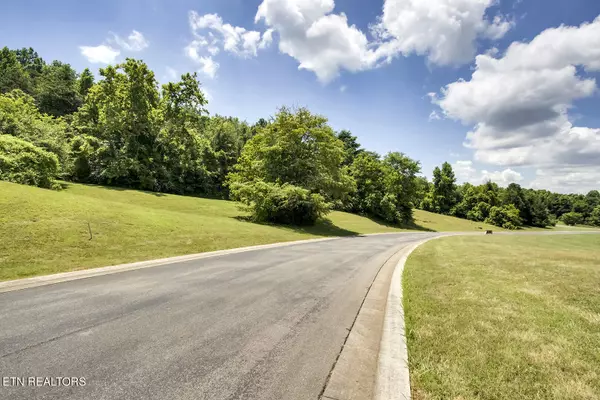 Vonore, TN 37885,Lot 45R Thunder Ridge DR