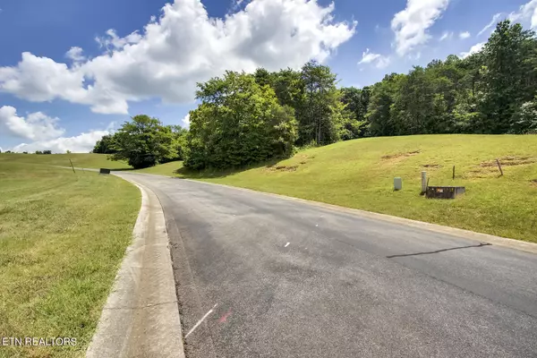 Vonore, TN 37885,Lot 45R Thunder Ridge DR