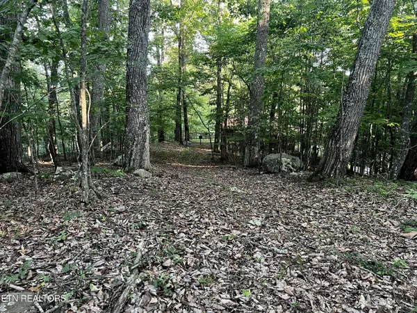 New Tazewell, TN 37825,Lot 626 Chimney Rock Rd