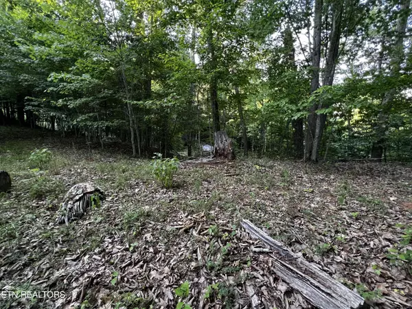 New Tazewell, TN 37825,Lot 626 Chimney Rock Rd