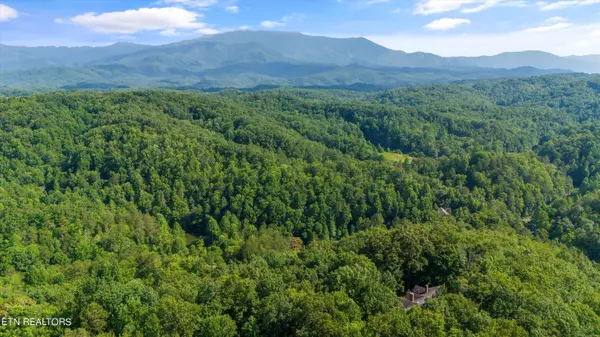 Sevierville, TN 37876,Lot 14 Powdermill Estates Rd