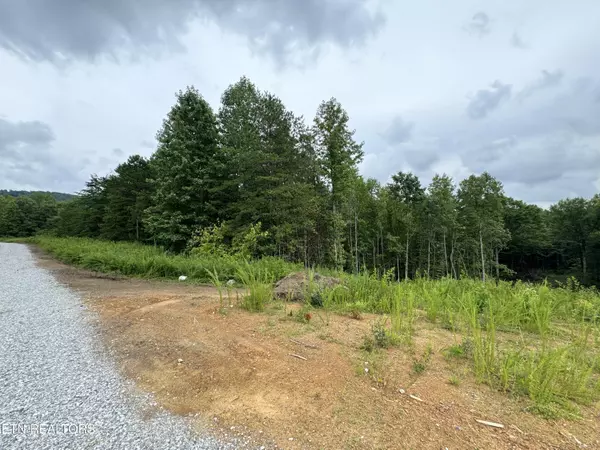 Cordell Mtn Pvt(tract 10) LN, Winfield, TN 37892