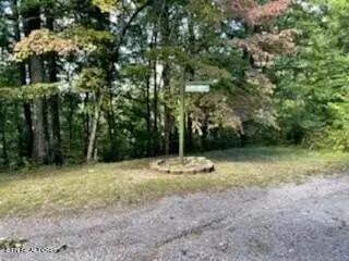 Sevierville, TN 37862,Lot 40 Windmere WAY