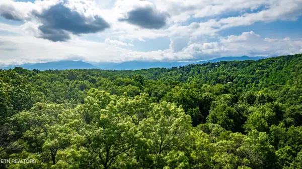 Sevierville, TN 37876,UnNumbered School House Gap Rd