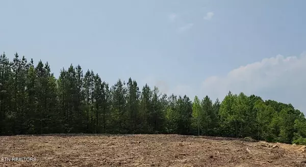 Lot 3 Off of Old Rugby PIKE, Robbins, TN 37852