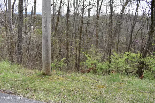 Sevierville, TN 37876,2450 Fawn View DR