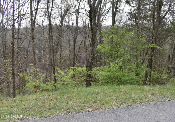 Sevierville, TN 37876,2450 Fawn View DR