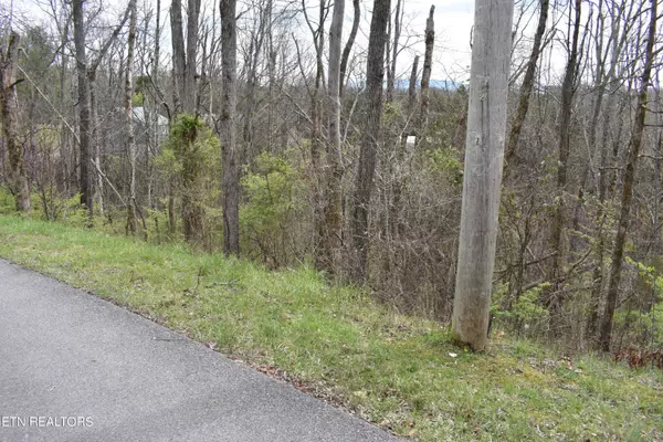 Sevierville, TN 37876,2450 Fawn View DR