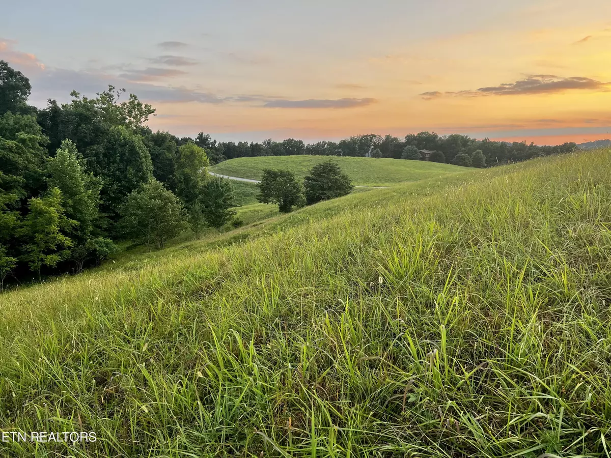 New Tazewell, TN 37825,Lot 146 Tanzanite Tr