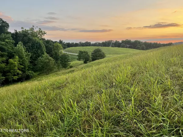 Lot 146 Tanzanite Tr, New Tazewell, TN 37825