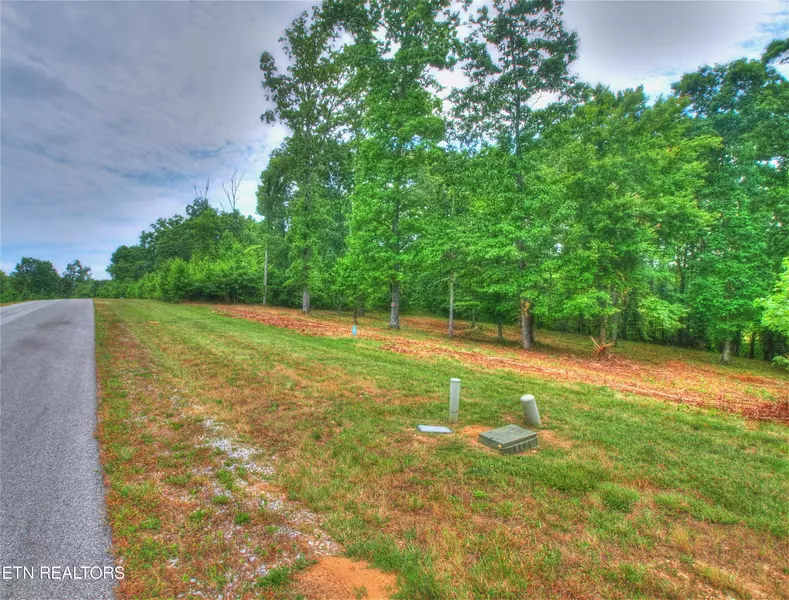 Lot 333 Water View DR, Rockwood, TN 37854