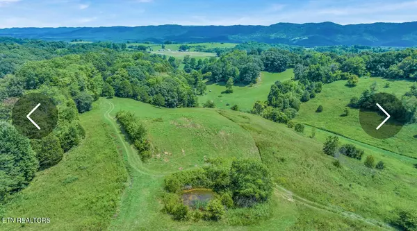 Rose Hill, VA 24281,1874 Blue Hollow Rd