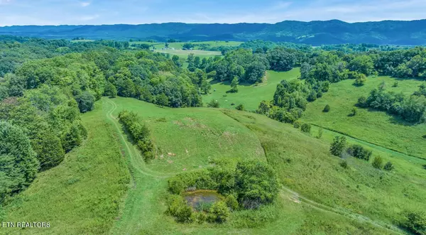 Rose Hill, VA 24281,1874 Blue Hollow Rd