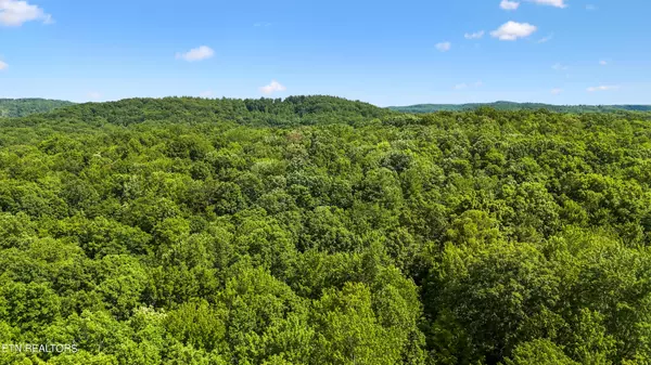 Oneida, TN 37841,Willie Boyatt Rd