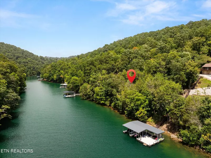 Fox Lake LN, Lafollette, TN 37766