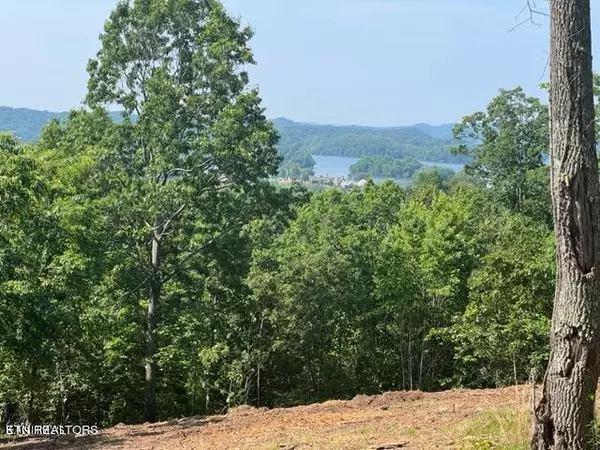 Rockwood, TN 37854,Mountain DR