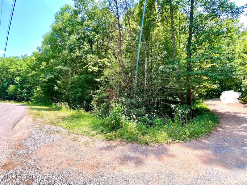 Lot 7 Three Point Rd, Vonore, TN 37885