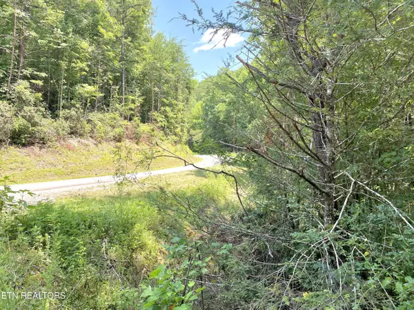 Vonore, TN 37885,Lot 9 Three Point Rd