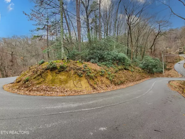 Gatlinburg, TN 37738,Lot 20 Luzerne DR