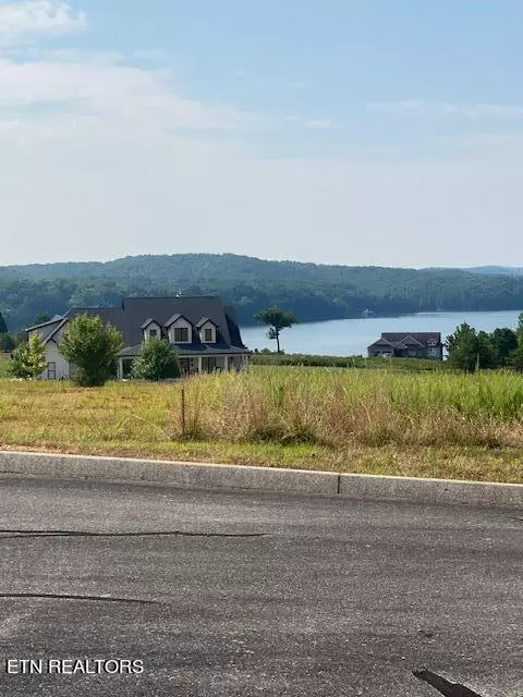 Rockwood, TN 37854,Scenic View LN