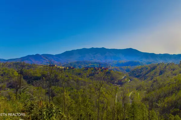 Gatlinburg, TN 37738,1156 Hemlock DR