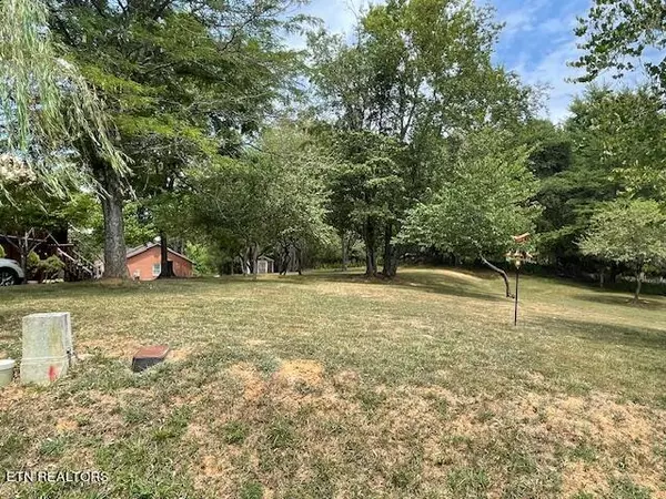 Ten Mile, TN 37880,Lot 51 Cherokee CIR