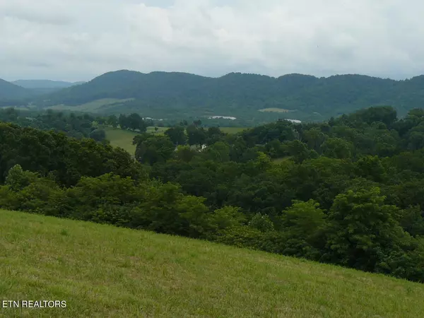 Tazewell, TN 37879,5.00 Acres Old Cave Springs Rd