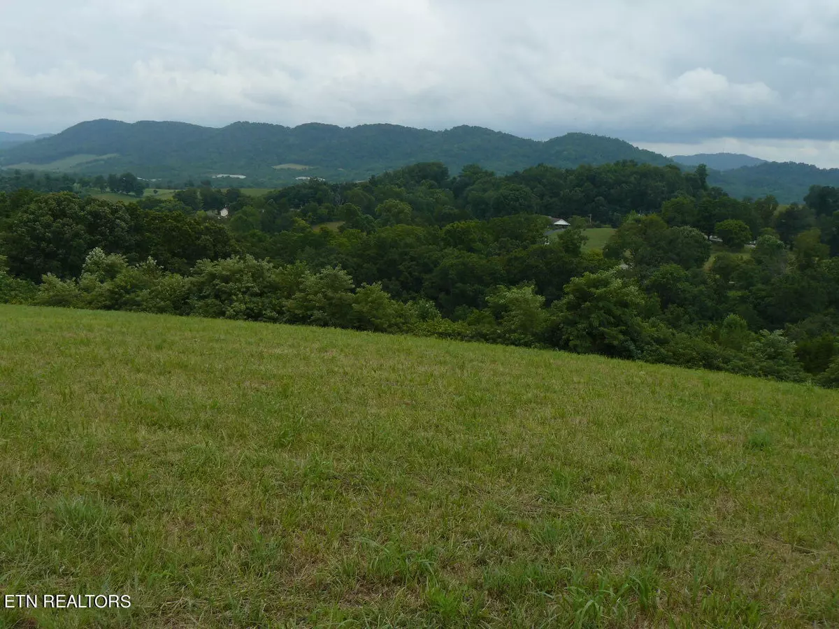 Tazewell, TN 37879,5.00 Acres Old Cave Springs Rd