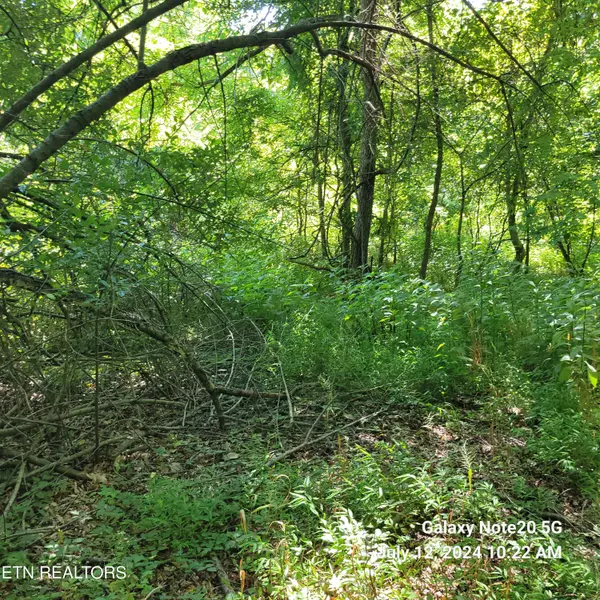 Tazewell, TN 37879,Lot 7 Long Beard ln