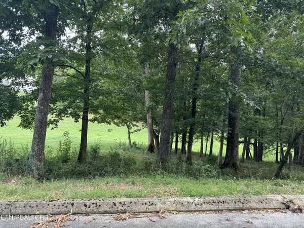 Dandridge, TN 37725,Lot 5 Stonehenge Way