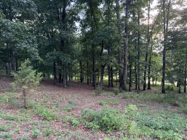 Dandridge, TN 37725,Lot 6 Stonehenge Way WAY