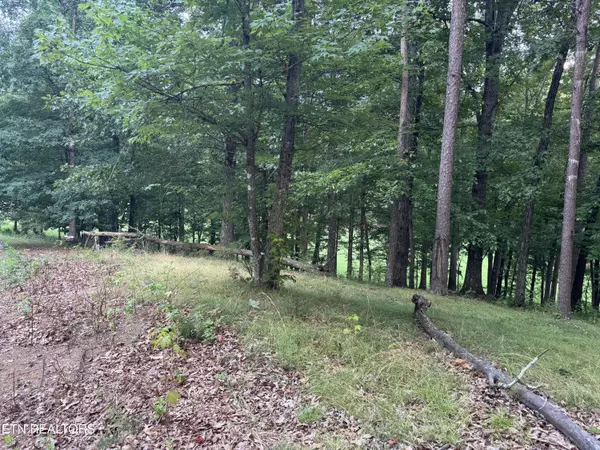 Dandridge, TN 37725,Lot 7 Stonehenge Way