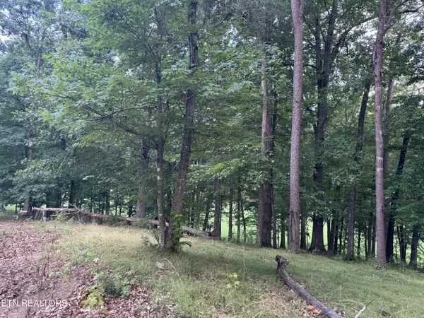 Dandridge, TN 37725,Lot 7 Stonehenge Way