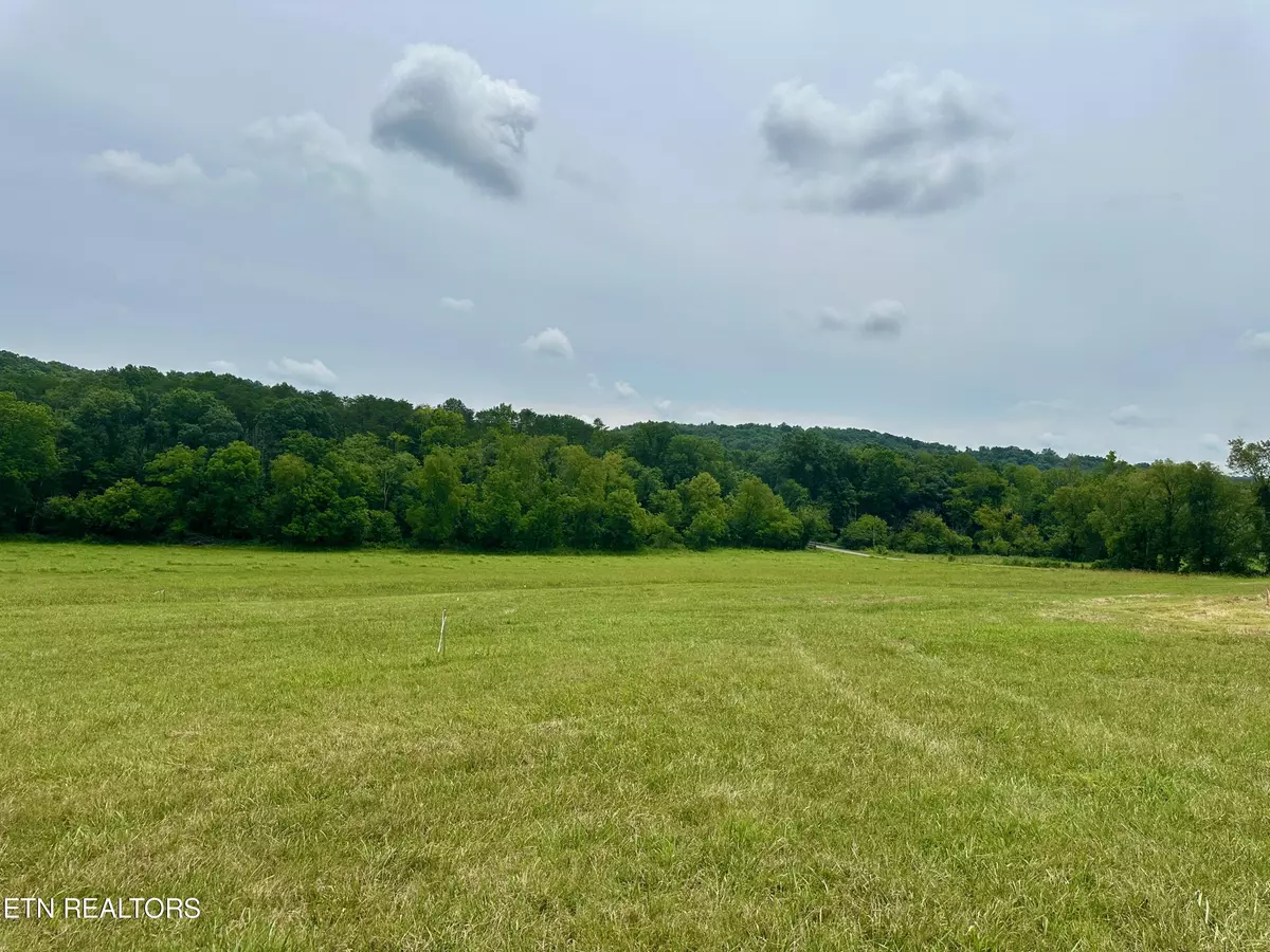 Blaine, TN 37709,Lot 8 Rutledge PIKE