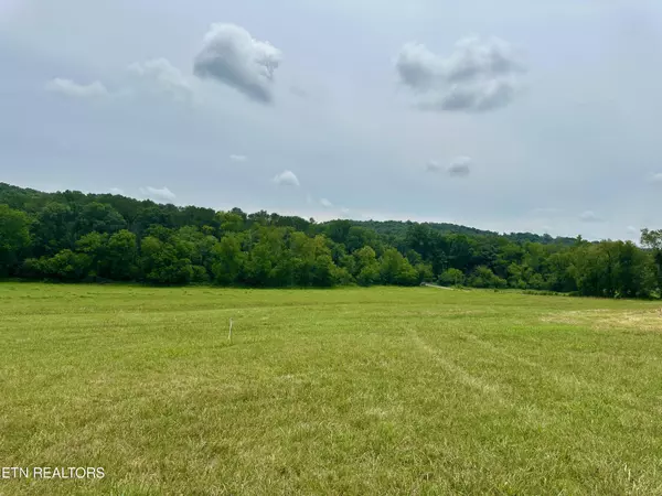 Lot 8 Rutledge PIKE, Blaine, TN 37709