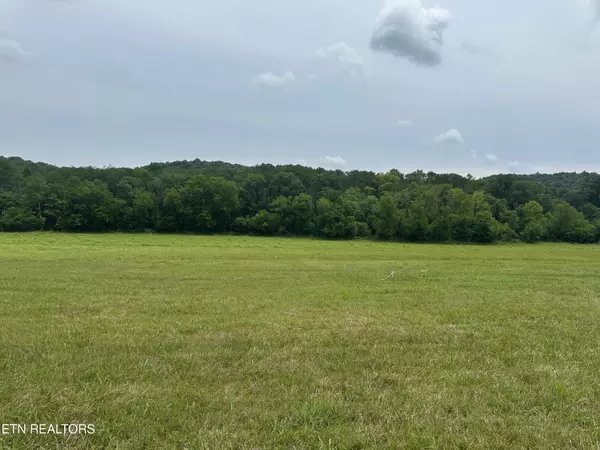 Blaine, TN 37709,Lot 8 Rutledge PIKE