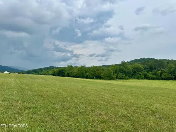 Blaine, TN 37709,Lot 5 Rutledge PIKE