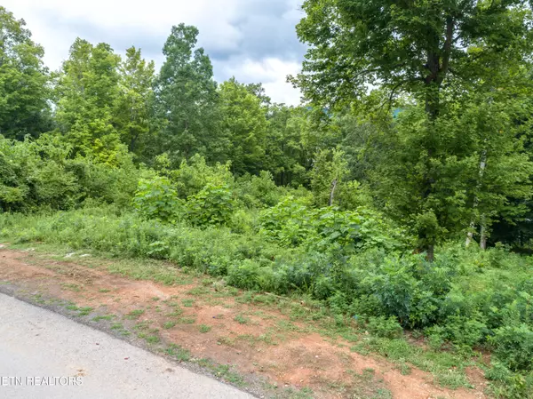 Maynardville, TN 37807,Lot 104 Hickory Pointe LN