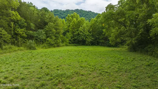 Eidson, TN 37731,Lot 1 War Creek Rd