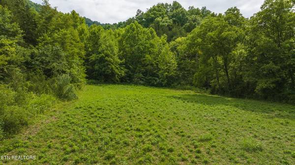 Lot 1 War Creek Rd, Eidson, TN 37731