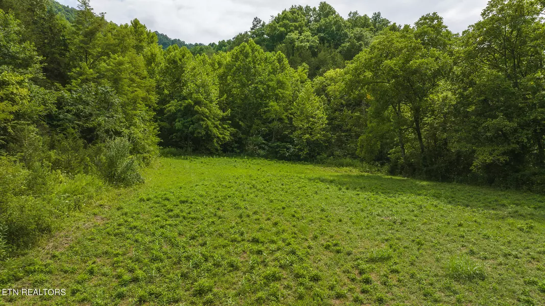 Lot 2 War Creek Rd, Eidson, TN 37731