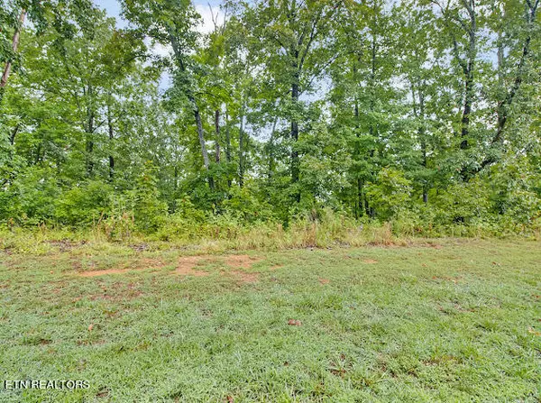 Rockwood, TN 37854,518 Grande Vista DR