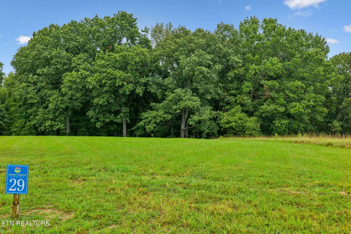 White Pine, TN 37890,Lot 29 Nightfall LN