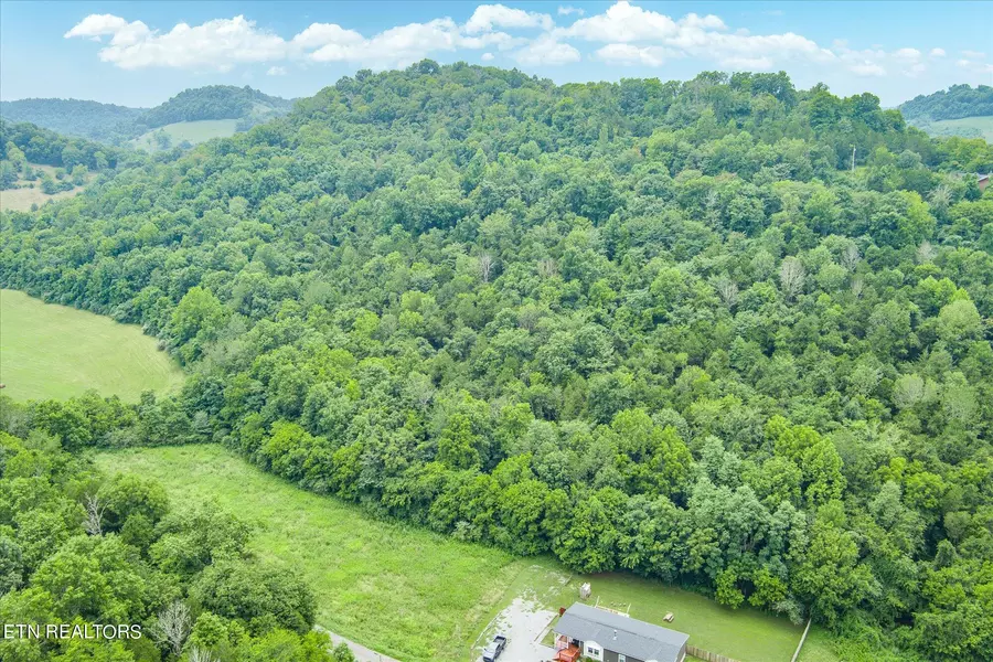 0 Hopkins Hollow Road, Gainesboro, TN 38562