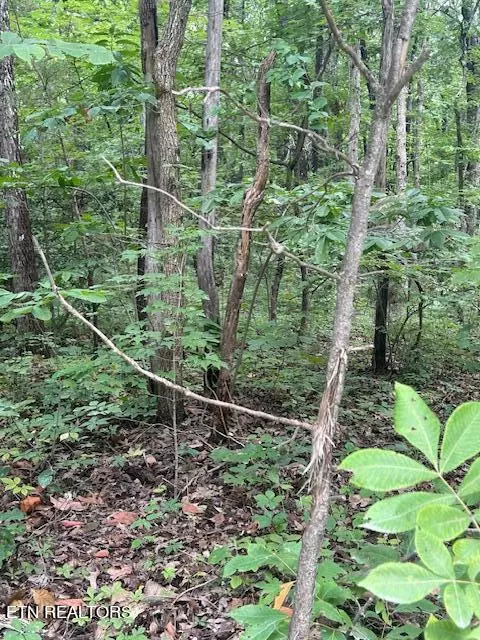 Crossville, TN 38572,Lot 183 Ridge Road W