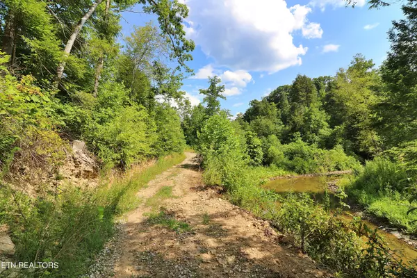 Robbins, TN 37852,LOT 8, Mt View Rd